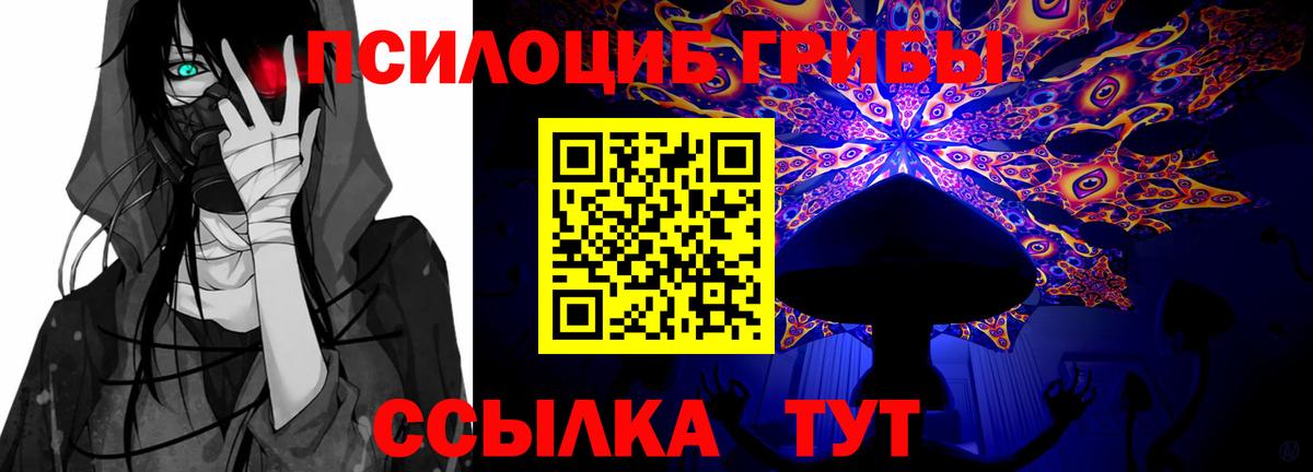 Галлюциногенные грибы мицелий Выкса