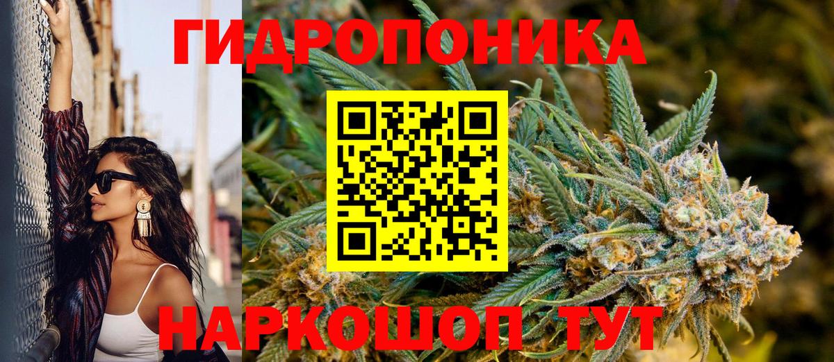 Выкса  Каннабис планчик  Вход с VPN  Шишки марихуана гибрид 